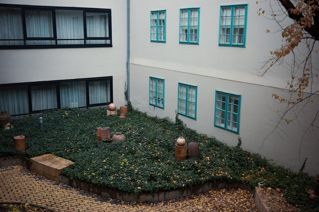 children playing in courtyard